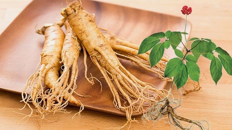 Các Yếu Tố Ảnh Hưởng Đến Giá Sâm Ngọc Linh Xịn