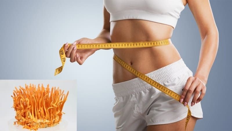 Cách sử dụng đông trùng hạ thảo đúng cách 