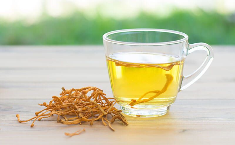 Có nên uống đông trùng hạ thảo mỗi ngày 