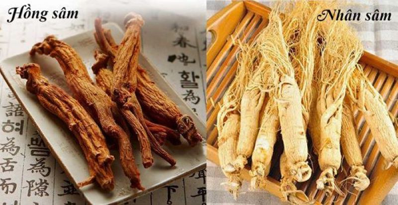 Đối tượng sử dụng hồng sâm và nhân sâm