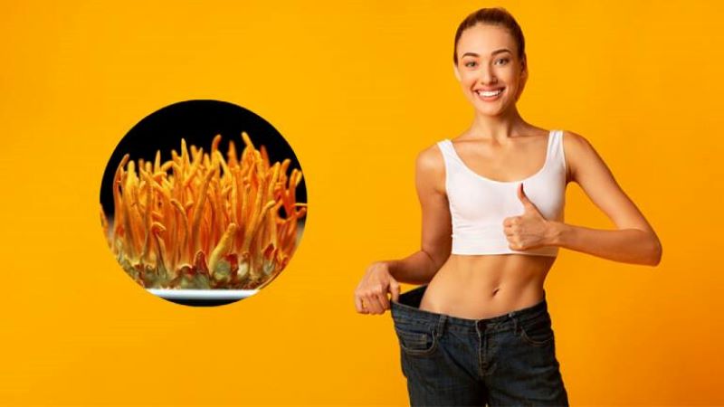 Đông trùng hạ thảo có giúp người gầy tăng cân không?