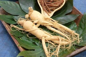 Sâm Ngọc Linh Xịn Giá Bao Nhiêu?