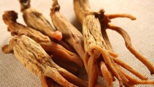 Hồng sâm là gì?