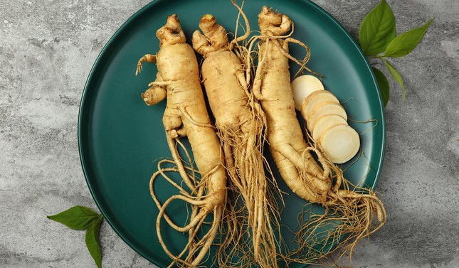 Kiểm Tra Mùi Và Vị Củ Sâm