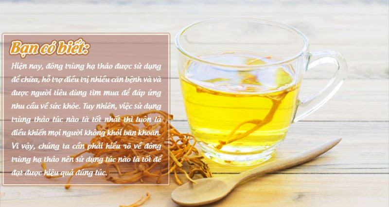 Lợi ích của việc uống đông trùng hạ thảo thường xuyên 