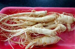 Tại Sao Sâm Ngọc Linh Đắt? 6 Lý Do Bạn Nên Biết