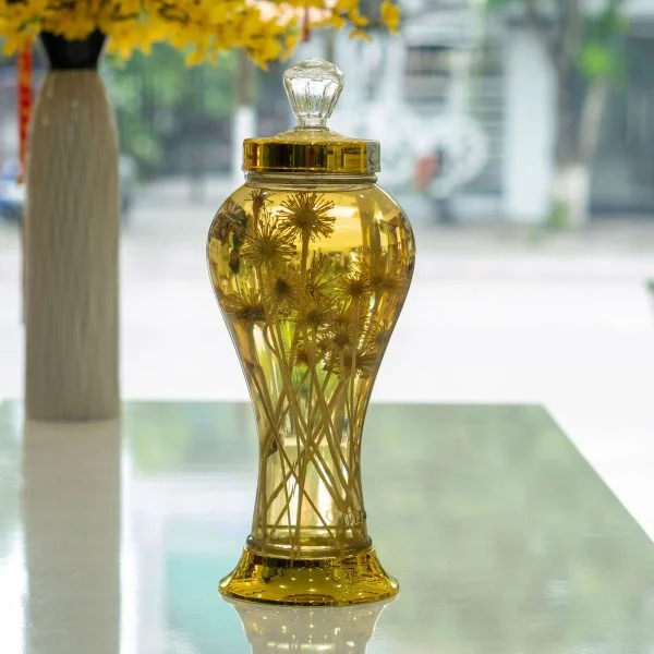 Sâm Ngọc Linh Hòa Bình