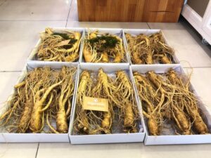 Sâm tươi loại 2 có đặc điểm gì?