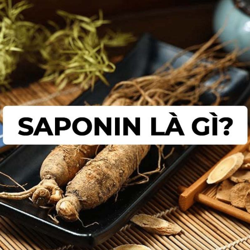 Saponin là gì?