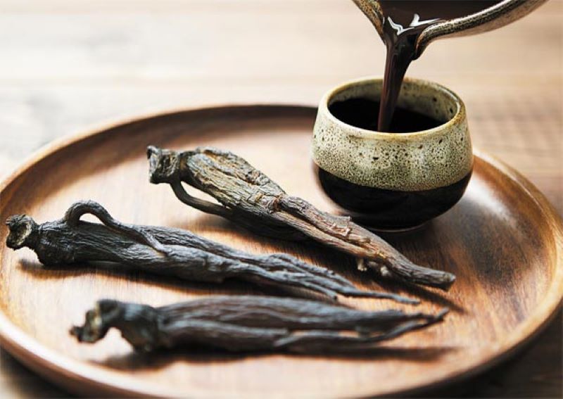 Tác dụng của hắc sâm đối với sức khỏe 
