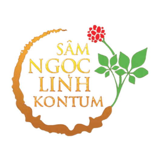 Sâm Ngọc Linh Tươi