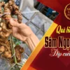 Sâm Ngọc Linh